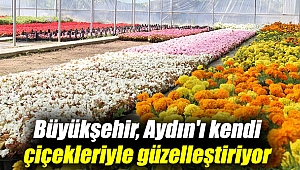Büyükşehir Belediyesi, Aydın'ı kendi çiçekleriyle güzelleştiriyor