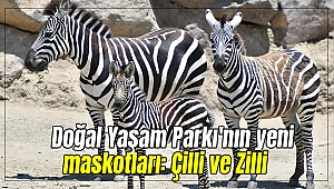 Doğal Yaşam Parkı'nın yeni maskotları: Çilli ve Zilli