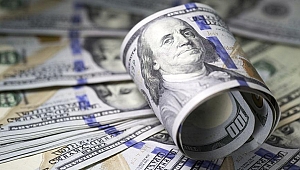 Dolar inmiyor!