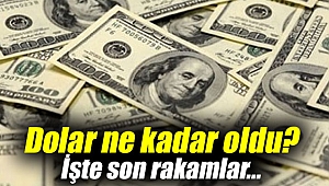 Dolar ne kadar oldu? İşte son rakamlar...