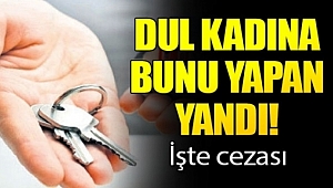 Dul Kadına bunu yapan yandı!