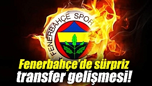 Fenerbahçe`de sürpriz transfer gelişmesi!