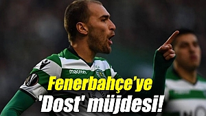 Fenerbahçe’ye 'Dost' müjdesi!