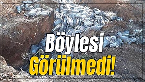 Görenler şok oldu!