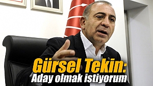 Gürsel Tekin: