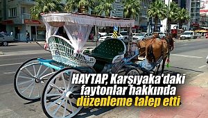 HAYTAP, Karşıyaka'daki faytonlar hakkında düzenleme talep etti