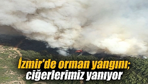İzmir'de orman yangını; ciğerlerimiz yanıyor