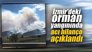 İzmir'deki orman yangınında acı bilanço açıklandı