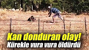 Kan donduran olay! Kürekle vura vura öldürdü