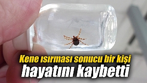 Kene ısırması sonucu bir kişi hayatını kaybetti