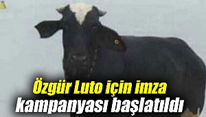 Özgür Luto için imza kampanyası başlatıldı