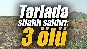 Tarlada silahlı saldırı: 3 ölü