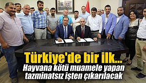 Türkiye'de bir ilk... Hayvana kötü muamele yapan tazminatsız işten çıkarılacak