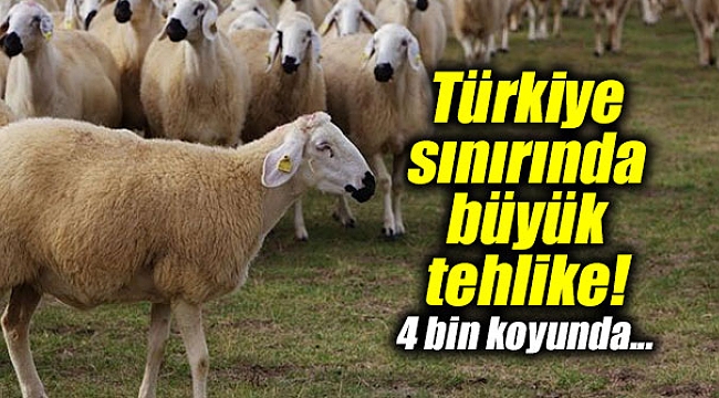 Türkiye sınırında büyük tehlike!