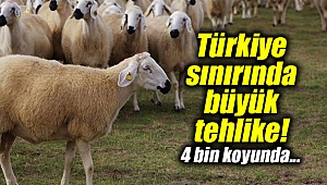 Türkiye sınırında büyük tehlike!