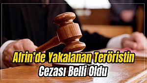 Afrin’de Yakalanan Teröristin Cezası Belli Oldu