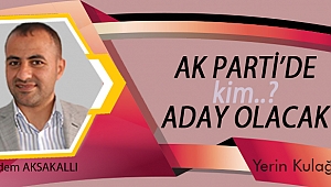 AK Parti’de ipi kim göğüsleyecek