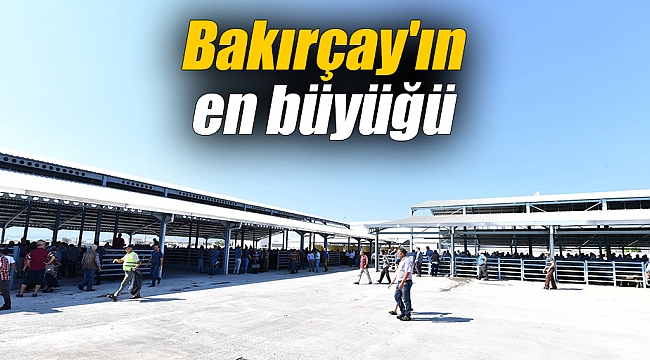 Bakırçay'ın en büyüğü
