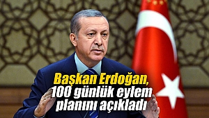 Başkan Erdoğan, 100 günlük eylem planını açıkladı