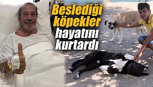 Beslediği köpekler hayatını kurtardı