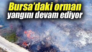 Bursa’daki orman yangını sürüyor