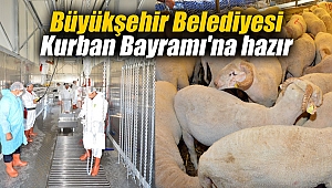 Büyükşehir Kurban Bayramı'na hazır