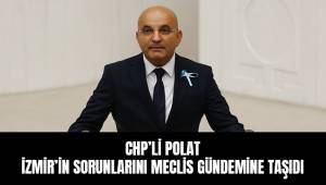 CHP'li Polat, İzmir'in Sorunlarını Meclis Gündemine Taşıdı