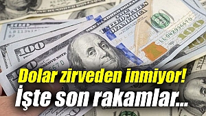 Dolar zirveden inmiyor!