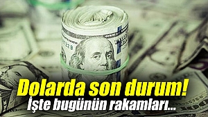 Dolarda son durum!