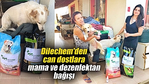 Dünyasının ünlü dezenfektan markası Dilechem'den can dostlara mama