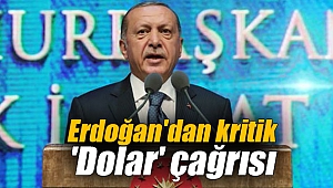 Erdoğan'dan kritik 'Dolar' çağrısı