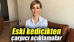 Eski kedicikten çarpıcı açıklamalar