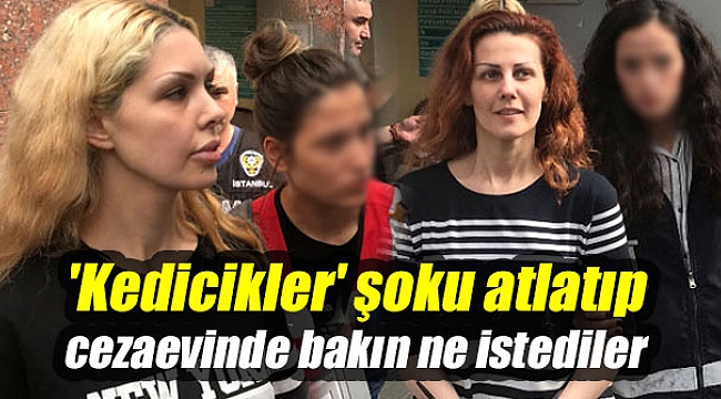 'Kedicikler' şoku atlatıp cezaevinde bakın ne istediler