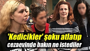 'Kedicikler' şoku atlatıp cezaevinde bakın ne istediler