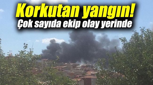 Korkutan yangın!