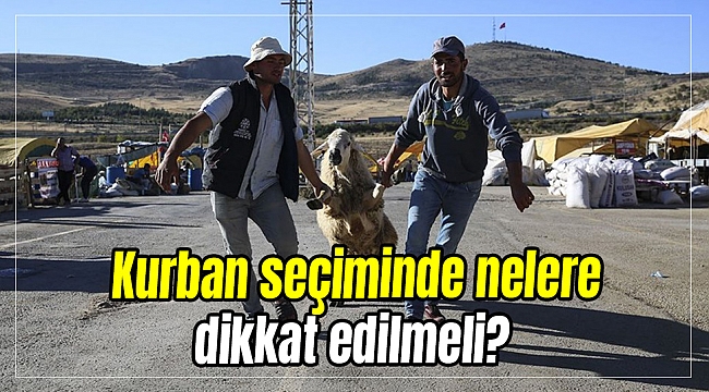 Kurban seçiminde nelere dikkat edilmeli?