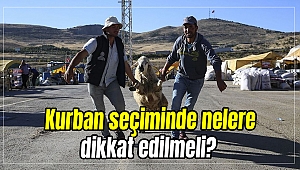 Kurban seçiminde nelere dikkat edilmeli?
