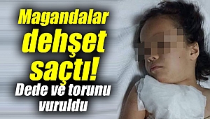 Magandalar dehşet saçtı!