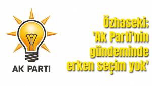 Özhaseki; 'Ak Parti'nin gündeminde erken seçim yok'