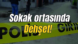 Sokak ortasında dehşet!