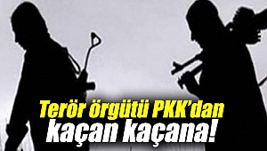 Terör örgütü PKK’dan kaçan kaçana!K