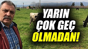 YARIN ÇOK GEÇ OLMADAN!