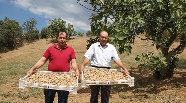 İzmir'den tarıma destek!