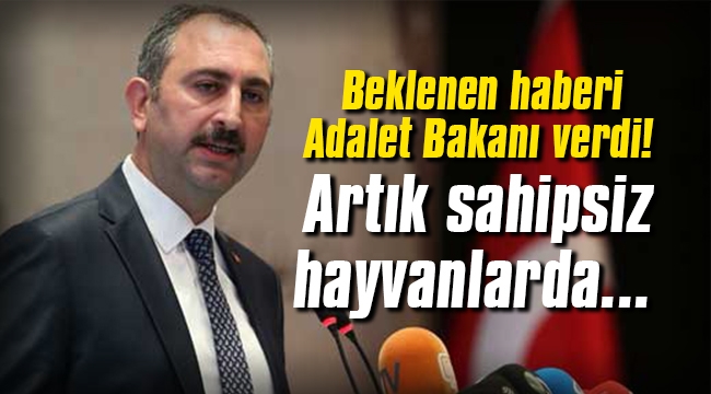 Beklenen haberi Adalet Bakanı verdi! Artık sahipsiz hayvanlarda...