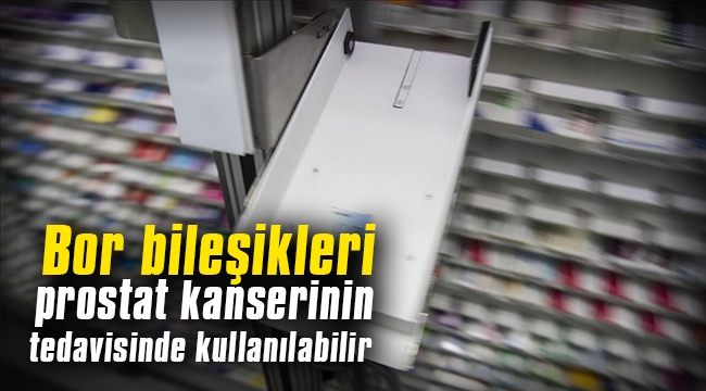 Bor bileşikleri prostat kanserinin tedavisinde kullanılabilir