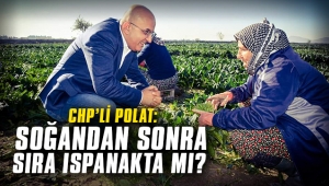 CHP'li Polat: