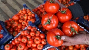 Domates ithalatı 2 kat artıyor