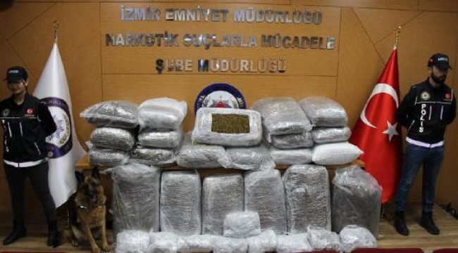 İzmir ve İstanbul'da 239 Kilo 'Skunk' Ele Geçirildi