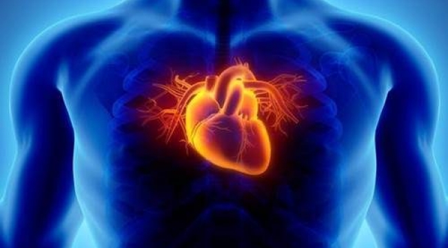 Kadınların Kalp Sağlığıyla İlgili Gerçekler kanama ve yüksek tansiyon