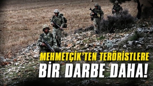 Mehmetçik'ten teröristlere bir darbe daha!
